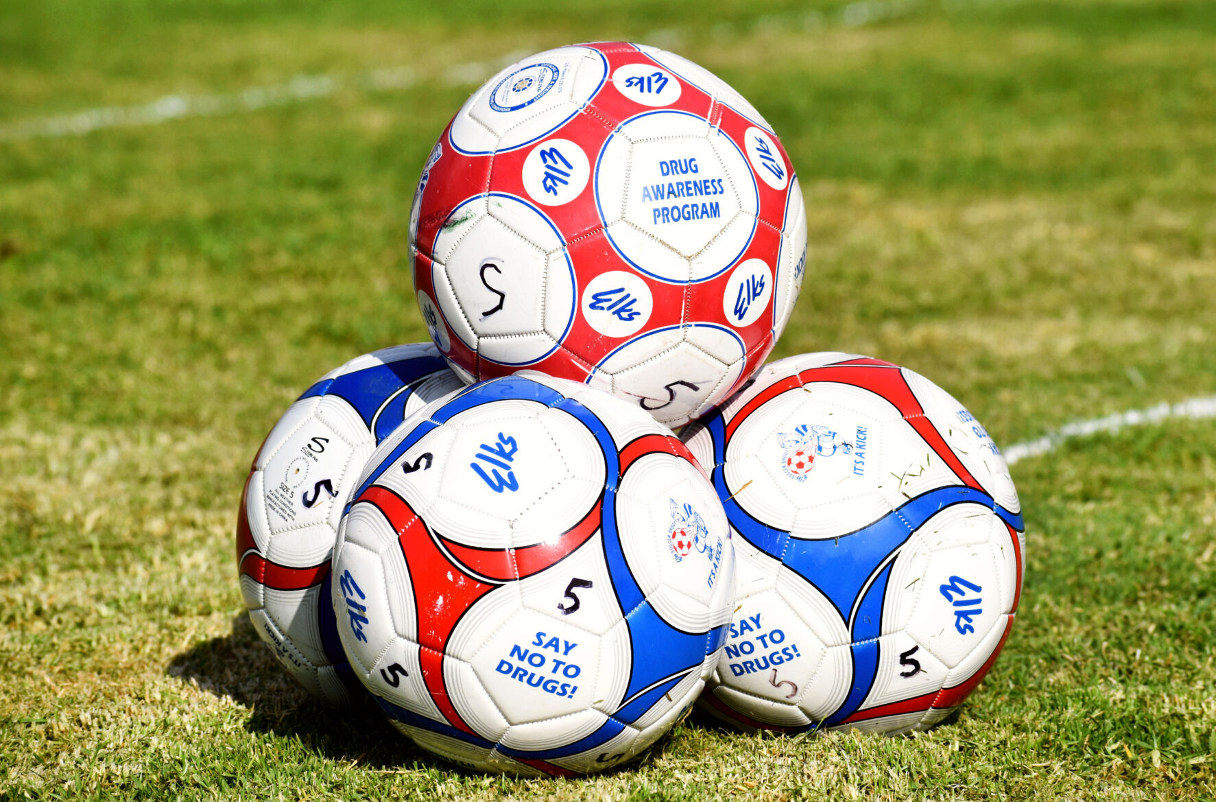 The Santa Maria Elks Lodge No. 1538 held its annual Soccer Shootout Saturday.The top three finishers of each age division, boys and girls, are invited, along with two guests, to a free dinner to be held at the Elks Lodge on Monday, Sept. 26 and will rec...